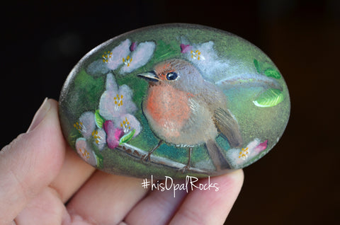 Bird Painted Rock, Hand Painted Stone, Bird Watching, Bird Art, Robin, Bird Art