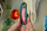 Chili Pepper Painted Rock, Hand Painted Stone, Kitchen Decor, Chili Pepper Decor