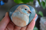 Bird Painted Rock, Hand Painted Stone, Bird Watching, Bird Art, Female Cordon-Bleu, Bird Art