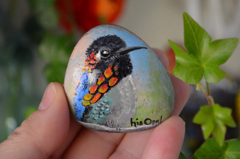 Bird Painted Rock, Hand Painted Stone, Bird Watching, Bird Art, Hummingbird, Bird Art, Painted Bird
