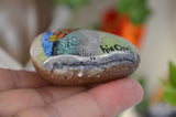 Bird Painted Rock, Hand Painted Stone, Bird Watching, Bird Art, Hummingbird, Bird Art, Painted Bird