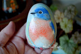 Bird Painted Rock, Hand Painted Stone, Bird Watching, Eastern Bluebird, Bird Art, Painted Rock