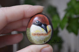 Bird Fridge Magnet, Painted Rock Magnet, Nature Lover Gift, Refrigerator Magnet, Kitchen Decor