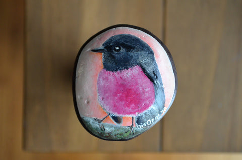 Bird Painted Rock, Hand Painted Stone, Bird Watching, Bird Art, Pink Robin, Bird Art