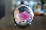 Bird Painted Rock, Hand Painted Stone, Bird Watching, Bird Art, Pink Robin, Bird Art