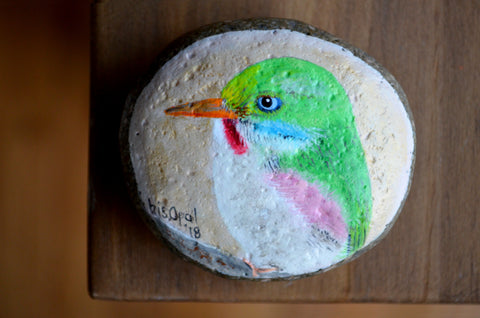 Bird Painted Rock, Hand Painted Stone, Bird Watching, Bird Art, Cuban Tody, Bird Art