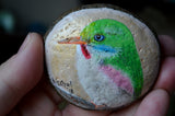 Bird Painted Rock, Hand Painted Stone, Bird Watching, Bird Art, Cuban Tody, Bird Art