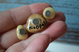 Cute Fridge Magnets, Hand Painted Rock, Mini Magnets, 3 Refrigerator Magnets