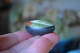 Bird Fridge Magnet, Painted Rock Magnet, Nature Lover Gift, Refrigerator Magnet, Kitchen Decor