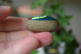 Cactus Fridge Magnet, Painted Rock Magnet, Mini Cactus Magnet, Refrigerator Magnet