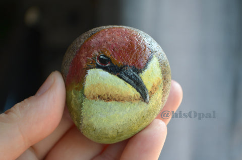 Bird Painted Rock, Hand Painted Stone, Bird Watching, Bird Art, Chestnut Headed Bee Eater