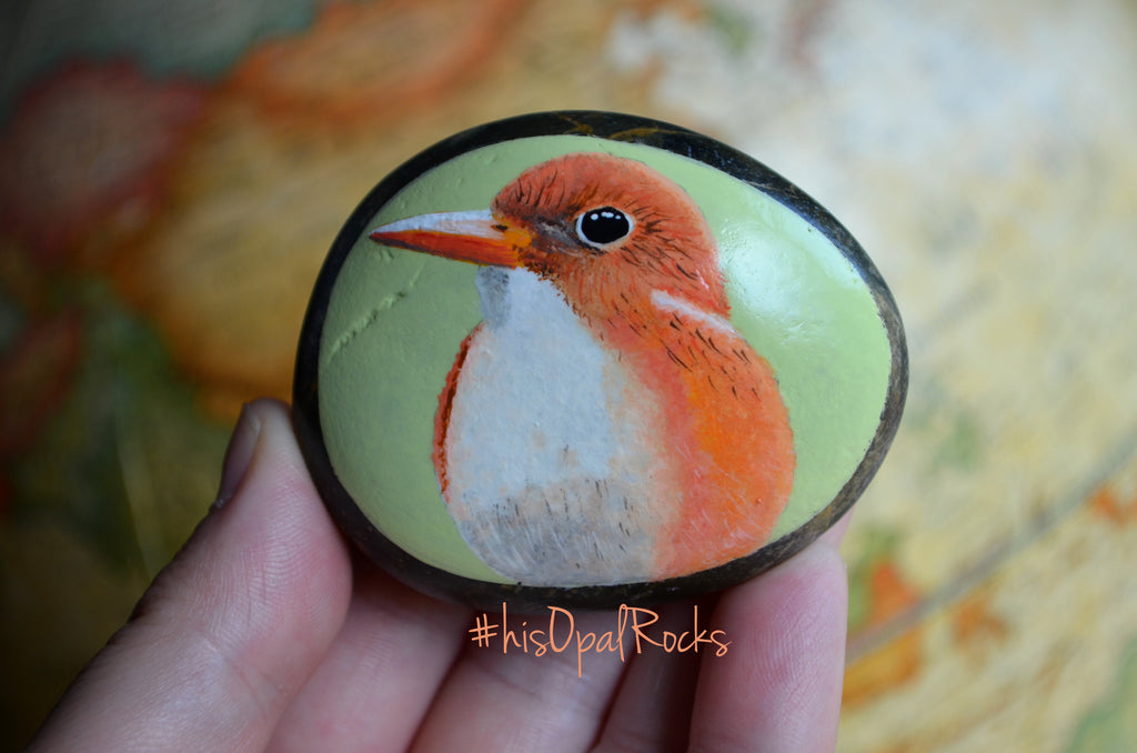 Madagascan Pygmy Kingfisher, Hand Painted Rock, Unique Gift, Bird Watcher Gift, Painted Stone Art