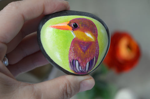 Rufous Backed Kingfisher, Hand Painted Rock, Unique Gift, Bird Watcher Gift, Christmas Gift