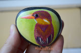 Rufous Backed Kingfisher, Hand Painted Rock, Unique Gift, Bird Watcher Gift