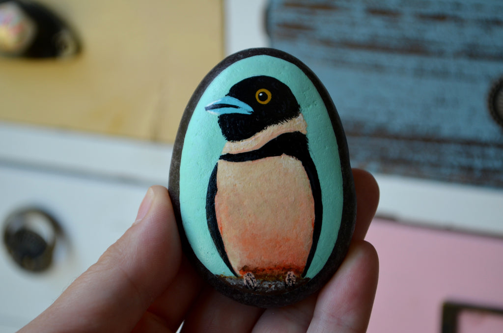 Black and Yellow Broadbill, Hand Painted Rock, Unique Gift, Bird Watcher Gift, Painted Stone Art
