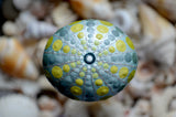 Sea Urchin Mandala, Hand Painted Rock, Mandala Stone, Urchin Style, Aqua Shimmer
