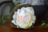 Painted Rock, Mother's Day Gift, Blush Rose, Flower Rock, Hand Painted Rose Art, Resin Coated