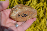 Painted Rock Desert, Cactus Rock, Midnight Cactus Garden, Hand Painted Rock