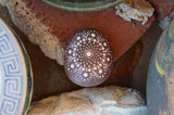Painted Rock Brown, Mandala Stone, Hand Painted Rock Art, Meditation Stone, Bridal Gift