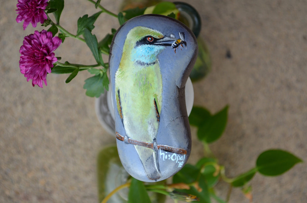 Bird Painted Rock, Hand Painted Stone, Bird Watching, Bird Art, Green Bee Eater, Bird Art