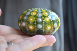 Sea Urchin Mandala, Hand Painted Rock, Mandala Stone, Urchin Style, Beach Decor, Nautical