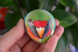 Lovebird Portrait, Hand Painted Rock, Unique Gift, Bird Watcher Gift, Painted Stone Art