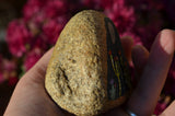 Painted Rock Desert, Cactus Rock, Moon Cactus Garden, Hand Painted Rock, Southwestern Decor