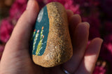 Painted Rock Desert, Cactus Rock, Moon Cactus Garden, Hand Painted Rock, Southwestern Decor