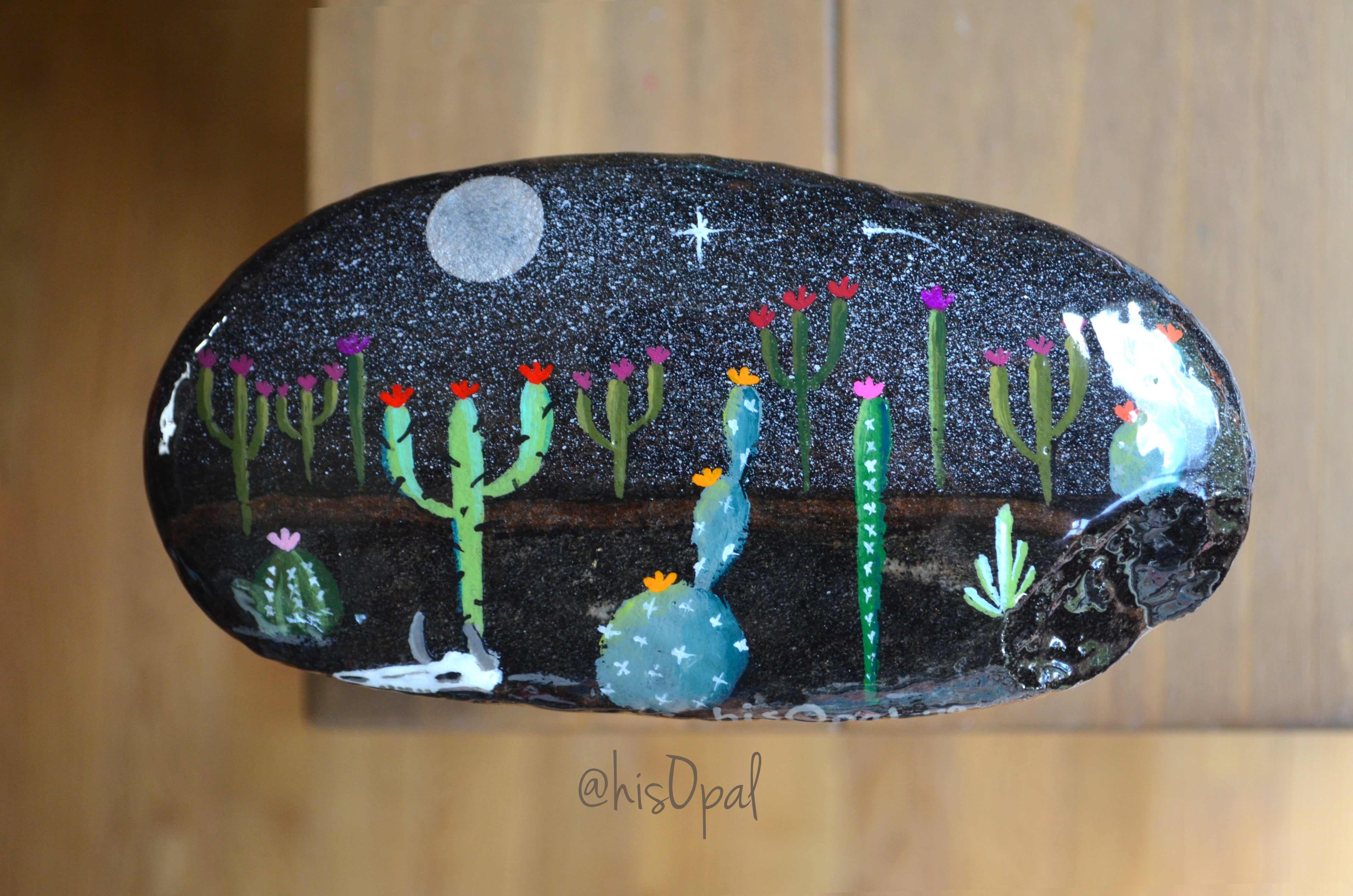 Painted Rock Desert, Cactus Rock, Hand Painted Rock, Southwestern, Nig ...
