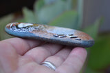 Bird Painted Rock, Hand Painted Stone, Bird Watching, Bird Art, Partridge, Painted Bird, Painted Fowl