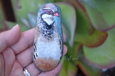 Bird Painted Rock, Hand Painted Stone, Bird Watching, Bird Art, Partridge, Painted Bird, Painted Fowl