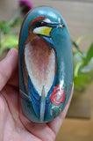 Bird Painted Rock, Hand Painted Stone, Bird Watching, Bird Art, Bee Eater, Bird Art, Poppies
