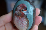 Bird Painted Rock, Hand Painted Stone, Bird Watching, Bird Art, Purple Finch, Bird Art, Painted Bird