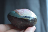 Bird Painted Rock, Hand Painted Stone, Bird Watching, Bird Art, Purple Finch, Bird Art, Painted Bird