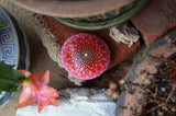 Red Ombre Mandala Stone, Hand Painted Rock, Unique Decor Red, Boho Gift, Red Pink Decor