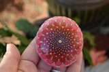 Red Ombre Mandala Stone, Hand Painted Rock, Unique Decor Red, Boho Gift, Red Pink Decor