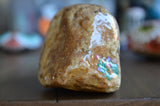 Painted Cactus Rock, Cactus Desert Scene, Cactus Art, Hand Painted Rock Art, Southwestern Decor