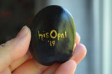 Hand Painted Sea Bean, Mini Mandala, drift seed, Teal Mandala, painted rock section
