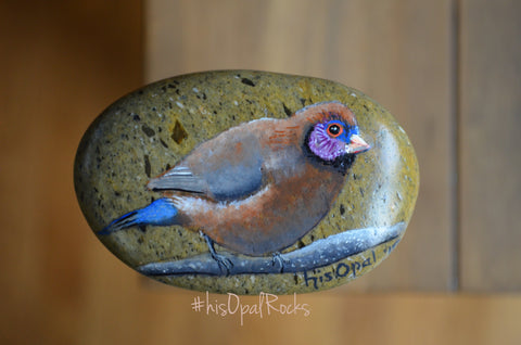 Bird Painted Rock, Hand Painted Stone, Bird Watching, Bird Art, Violet Eared Waxbill Finch